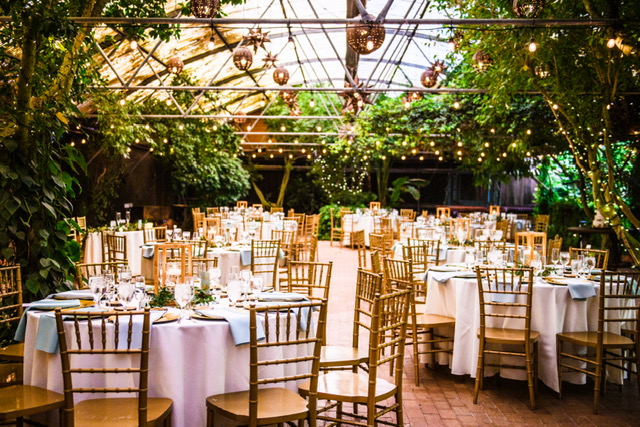 An elegant event reception space with string lights and greenery